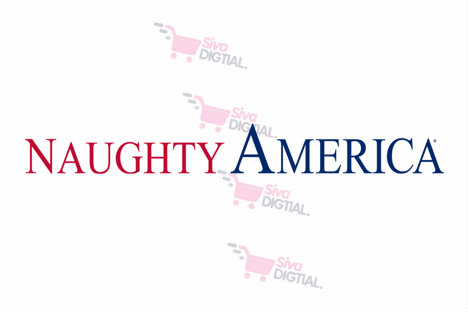 Naughty America