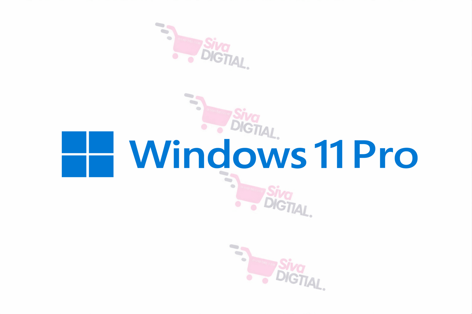 Windows 11 Pro