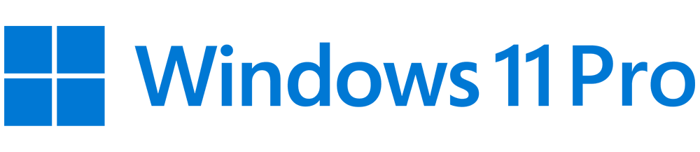 Windows 11 Pro